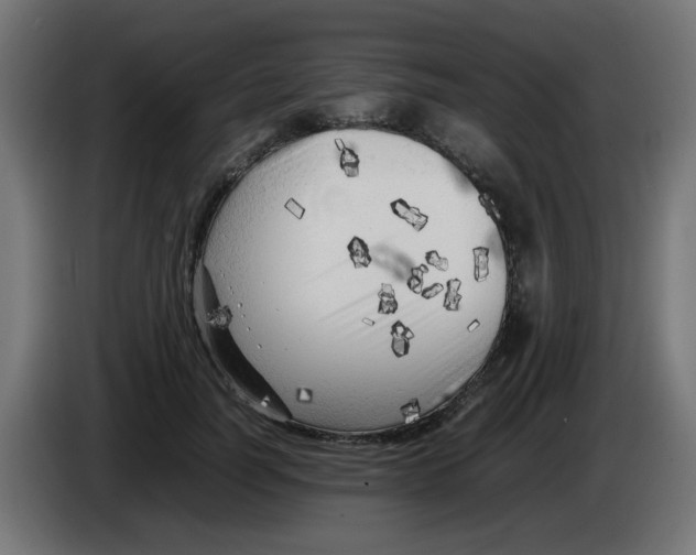 X0000083030746200703022026