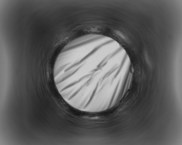 X0000083030747200703022026