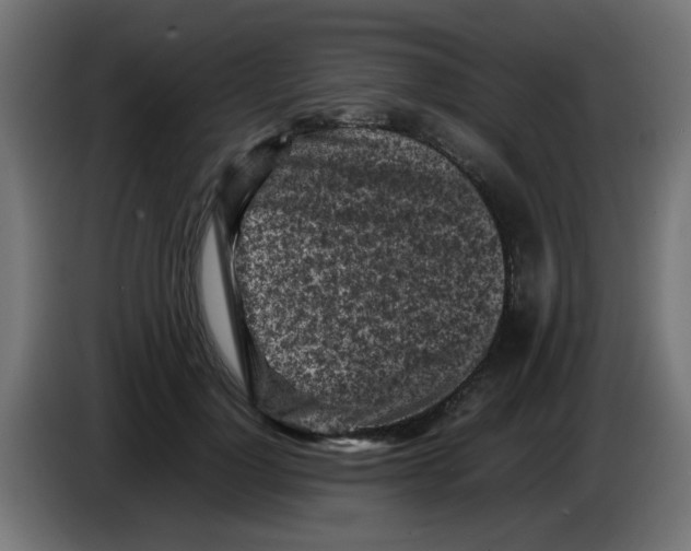 X0000083030748200703022026