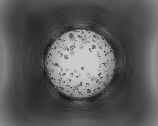 X0000083030749200703022026