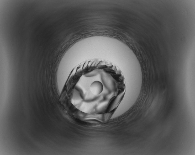 X0000083030750200703022026