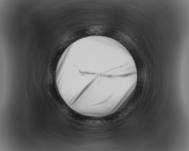 X0000083030751200703022026