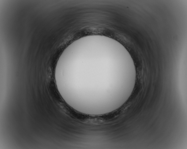 X0000083030752200703022026