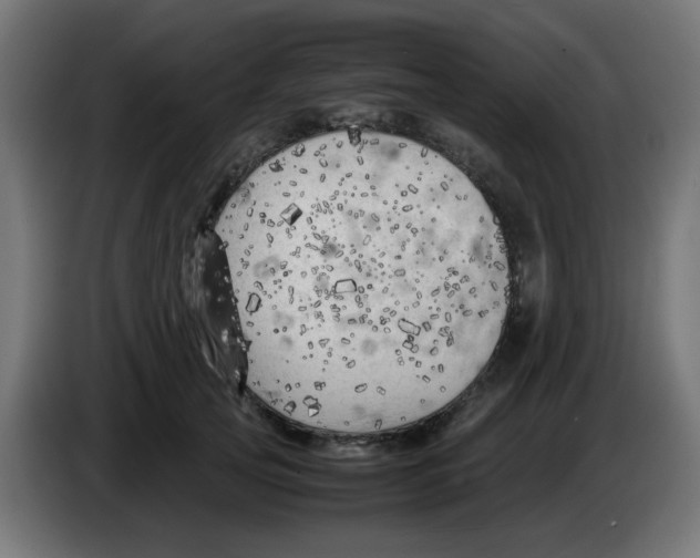 X0000083030753200703022026