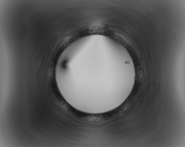 X0000083030756200703022026