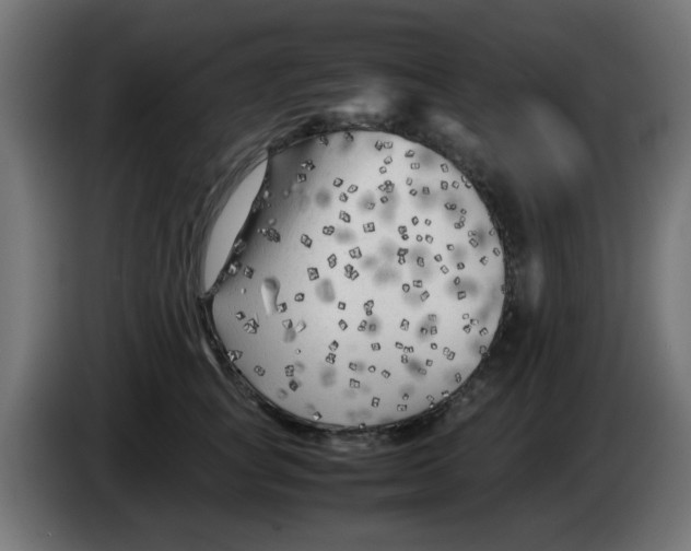 X0000083030757200703022026