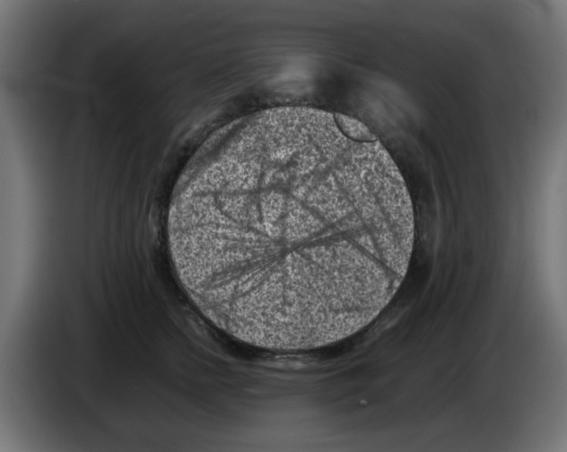 X0000083030758200703022026