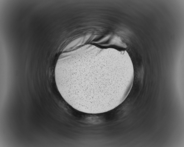 X0000083030759200703022026