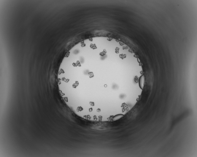 X0000083030761200703022026