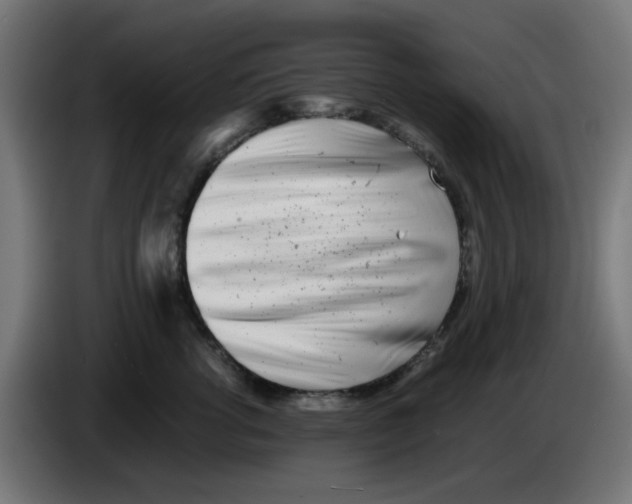 X0000083030762200703022026