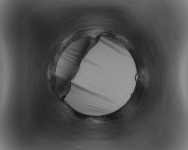 X0000083030763200703022026