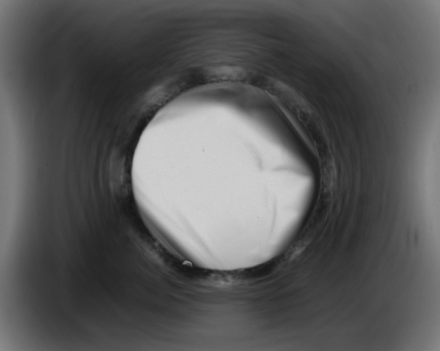 X0000083030764200703022026