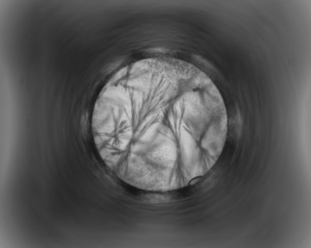 X0000083030765200703022026