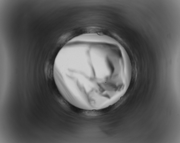 X0000083030766200703022026