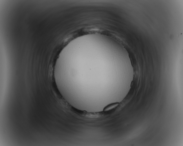 X0000083030767200703022026