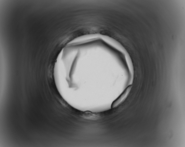 X0000083030768200703022026