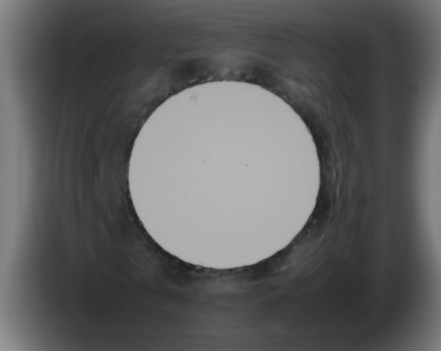 X0000083030769200703022025