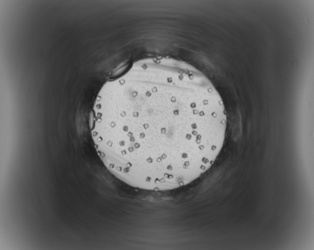 X0000083030770200703022025