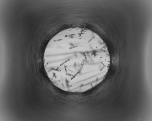 X0000083030771200703022025