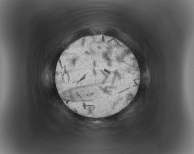 X0000083030772200703022025