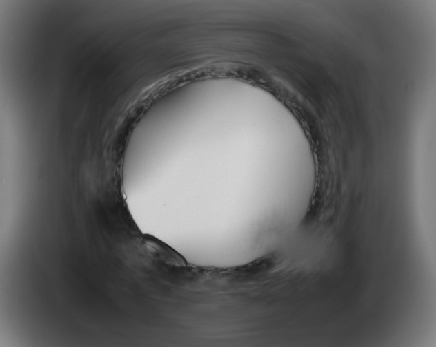 X0000083030773200703022025