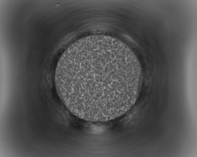 X0000083030774200703022025