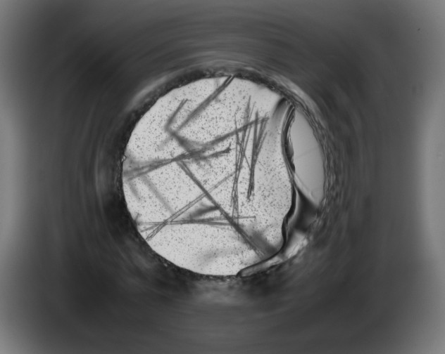 X0000083030775200703022025