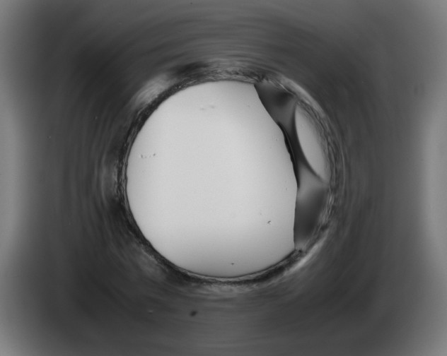 X0000083030777200703022025