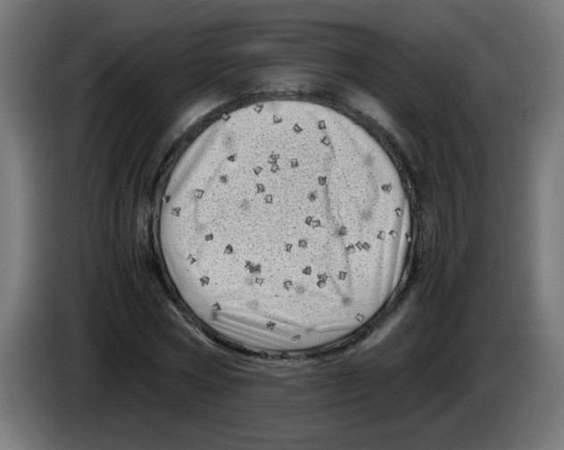 X0000083030778200703022025