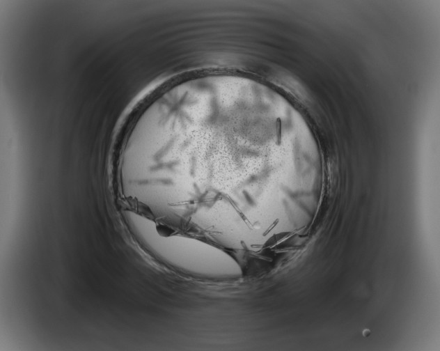 X0000083030780200703022025