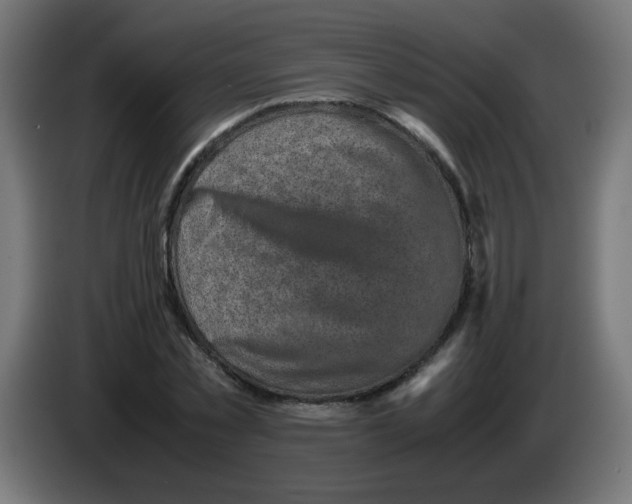 X0000083030781200703022025