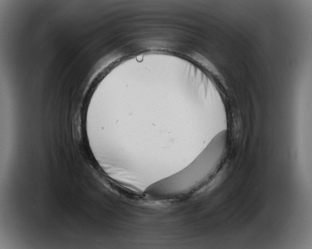 X0000083030782200703022025