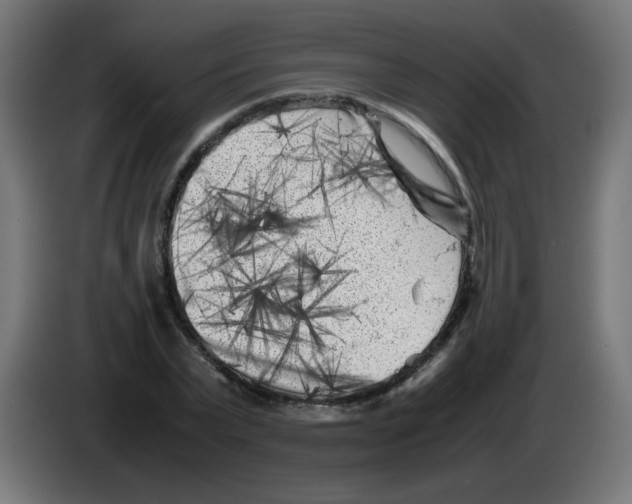 X0000083030783200703022025