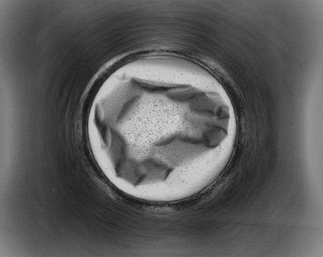 X0000083030784200703022025