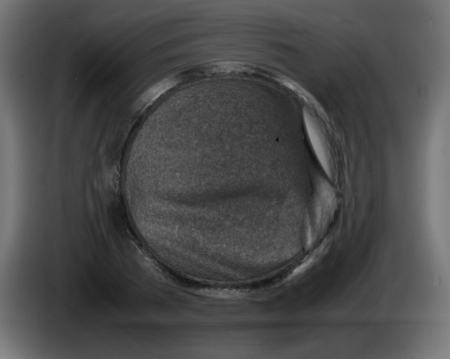 X0000083030785200703022025