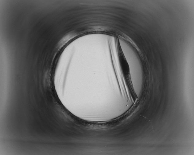 X0000083030786200703022025