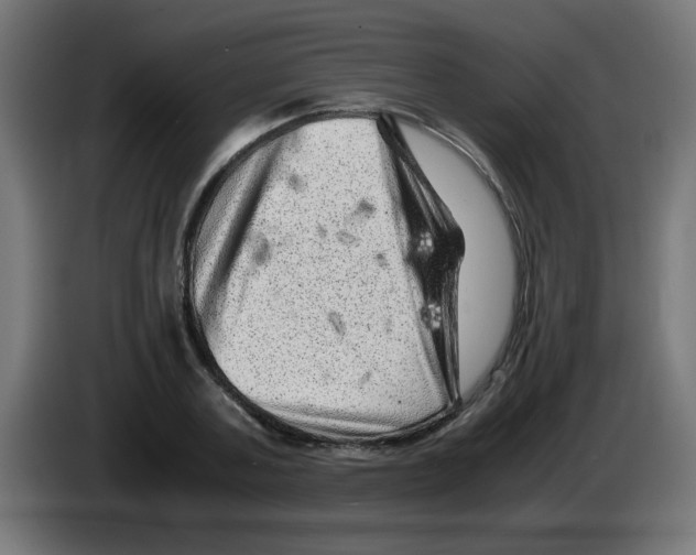 X0000083030787200703022025