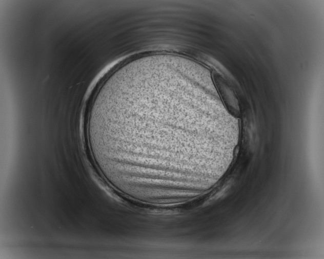 X0000083030788200703022025