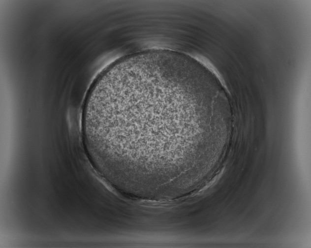 X0000083030790200703022025