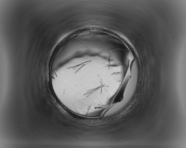 X0000083030791200703022025