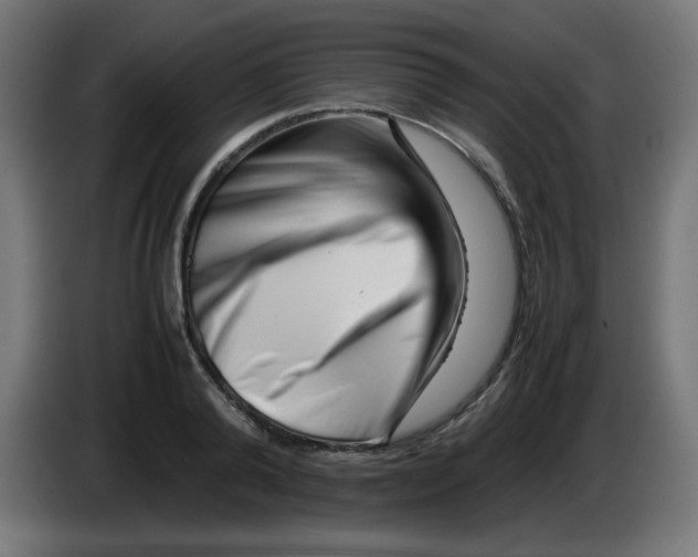 X0000083030792200703022025