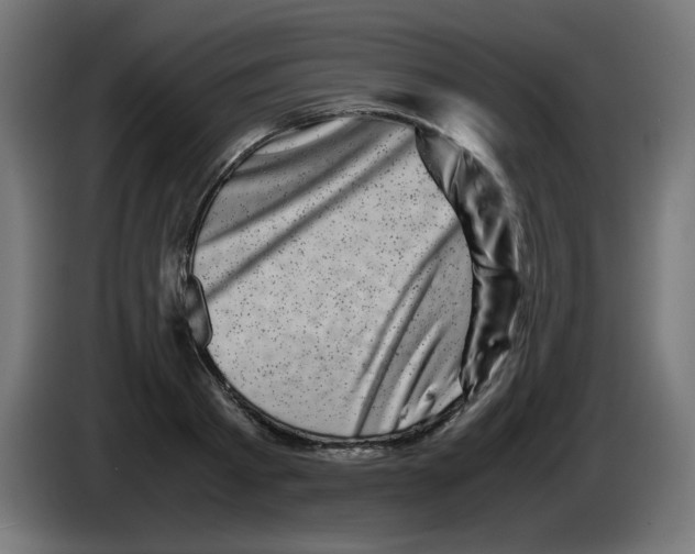 X0000083030793200703022025