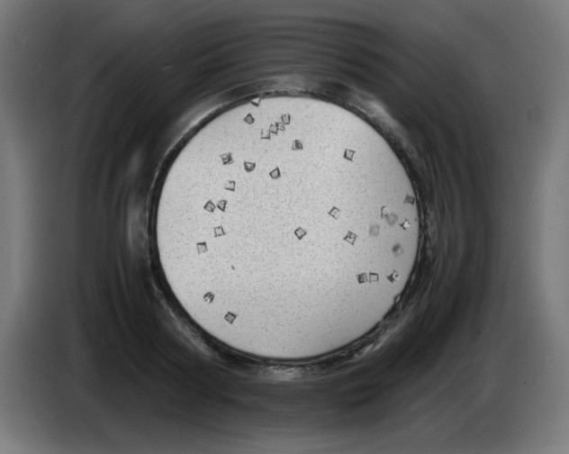 X0000083030794200703022025