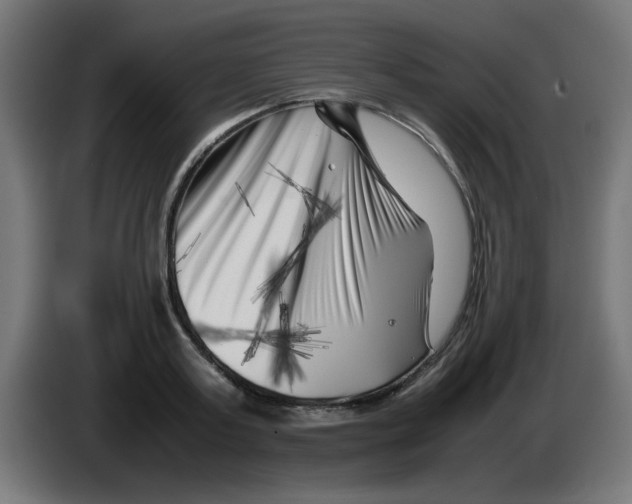 X0000083030795200703022025