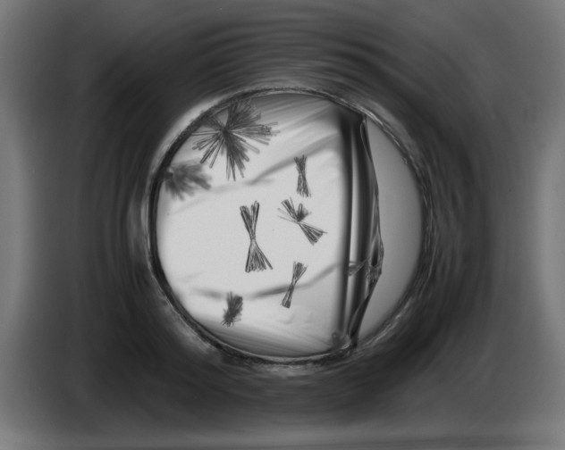 X0000083030796200703022025