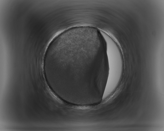 X0000083030797200703022025