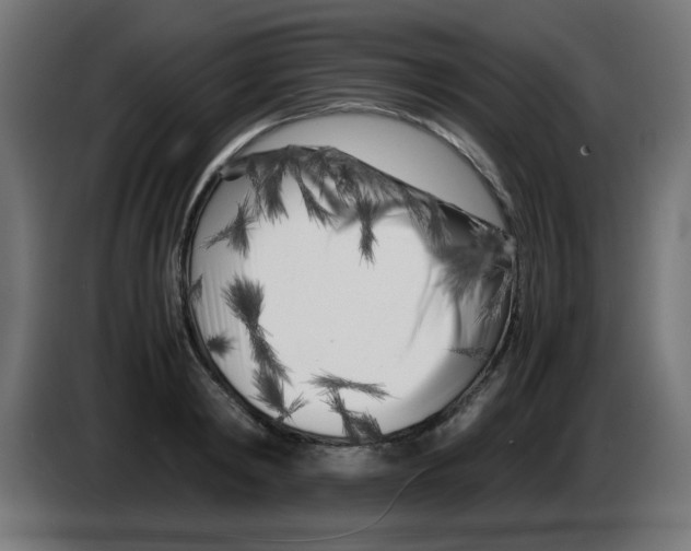 X0000083030798200703022025