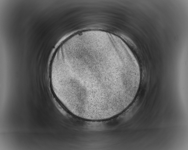 X0000083030800200703022025