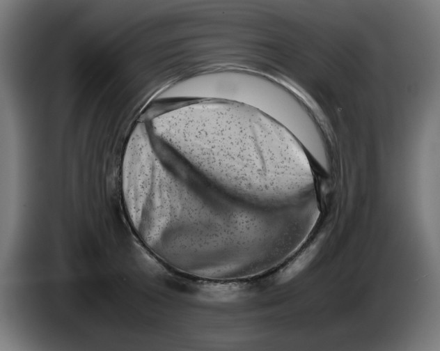 X0000083030801200703022025