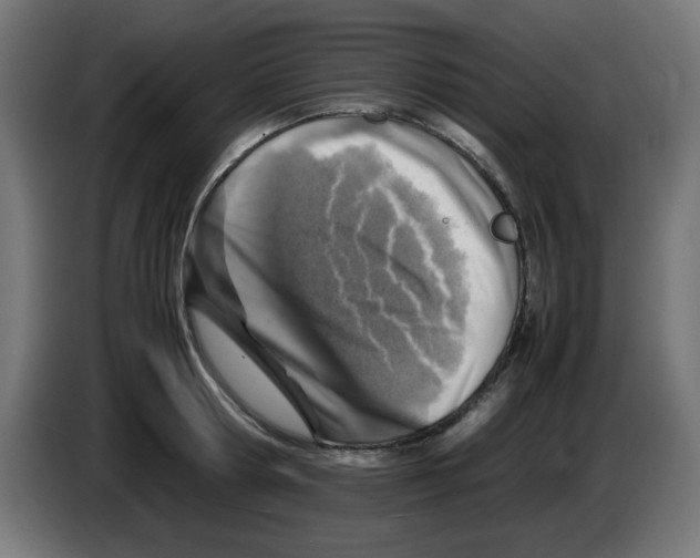 X0000083030802200703022025